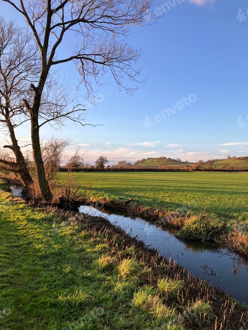 Preview: English countryside in winter sunlight