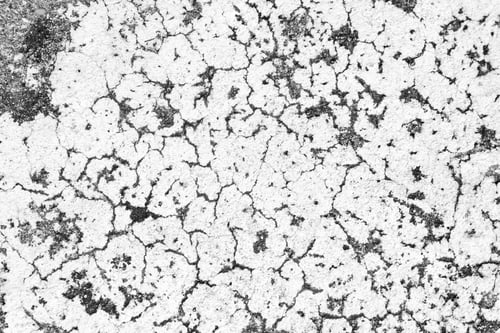 Preview: white concrete wall texture