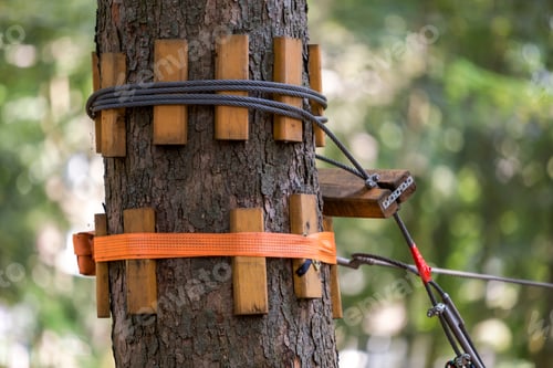 Preview: Close-up of cable way thick firm rope knotted tied to strong big tree trunk