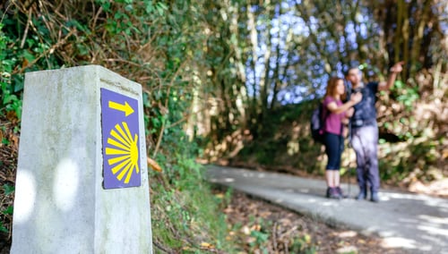 Preview: Signpost of Saint James way with pilgrims pointing