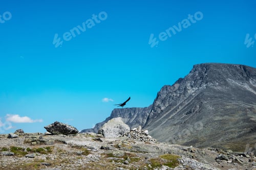 Preview: eagle flying over Besseggen ridge in Jotunheimen National Park, Norway