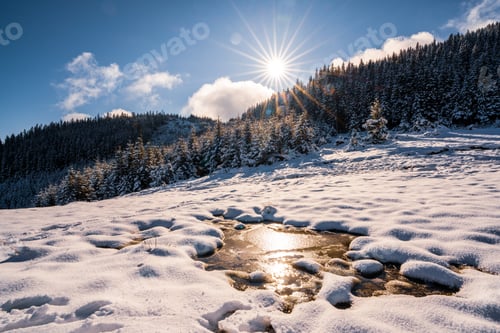 Preview: Small puddle of melted snow in the spring sun in the carpathian mountains