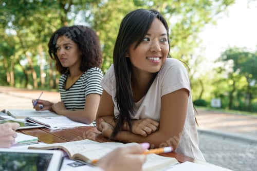 Preview: Multiethnic group of young students sitting and studying