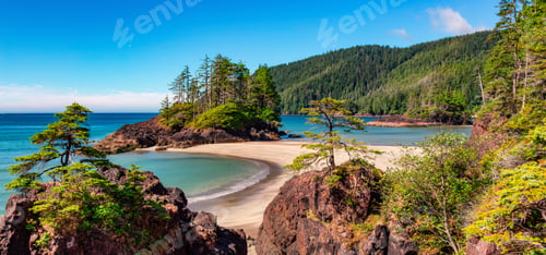 Preview: Canadian Nature Landscape on the West Coast of Pacific Ocean. Sandy Beach. Background Panorama.
