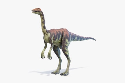 Preview: Archaeornithomimus: Ancient Bird-Mimic Dinosaur