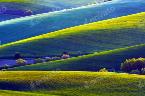 Preview: Picturesque rural landscape with green field and tree