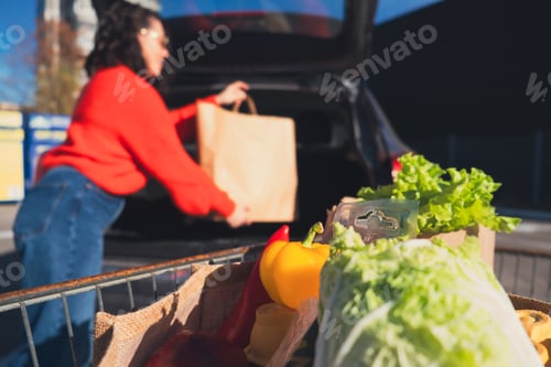 Preview: woman put packages in car trunk