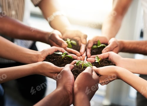 Preview: Cropped shot of a group of unrecognizable people holding plants growing out of soil