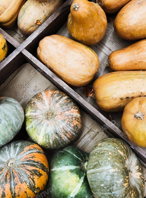 Preview: Beautiful colourful pumpkins freshly picked from a pumpkin farm on a wooden container, top view.