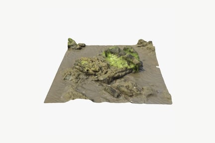Preview: Coastal Rock Formation with Seaweed