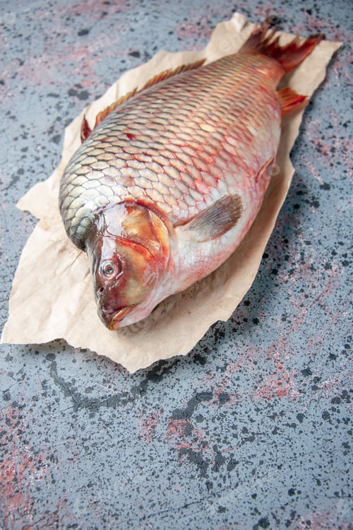 Preview: front view fresh raw fish on a blue background meal meat water food ocean color horizontal animal