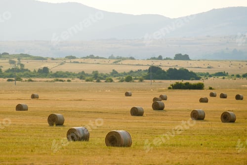 Preview: Straw bales scattered on harvested field against hills