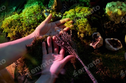 Preview: Two hands gently hold fresh lavender while surrounded by colorful stones and green moss