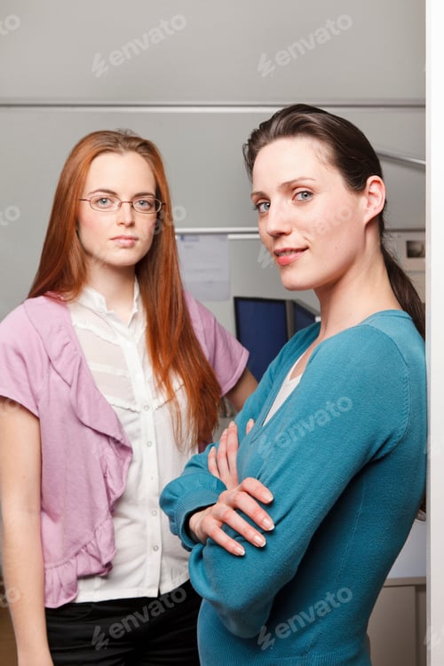 Preview: Portrait of 2 women in a office