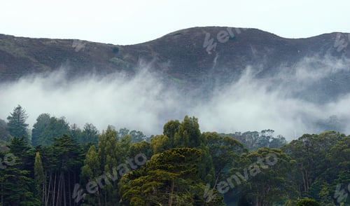 Preview: The Marin Headlands in the Fog, San Francisco , USA