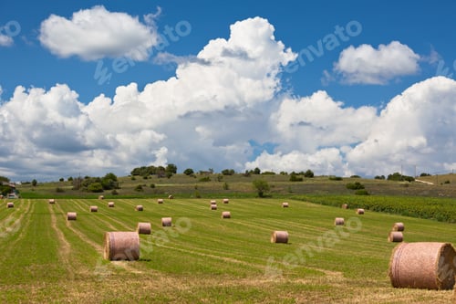 Preview: Rural landscape, France