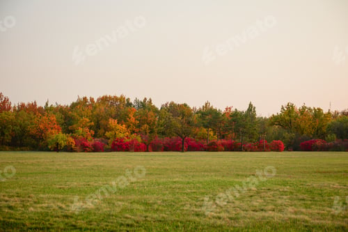 Preview: Beautiful autumn landscape