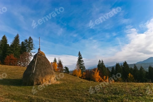 Preview: autumn landscape