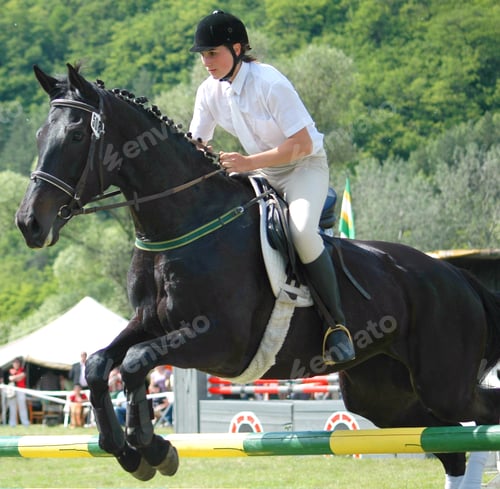 Preview: Dressage Race