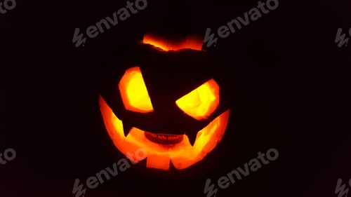 Preview: Pumpkin carved with scary face to scare on halloween, with candle inside and black background.