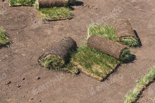 Preview: Laying sod for new garden lawn - turf laying concept