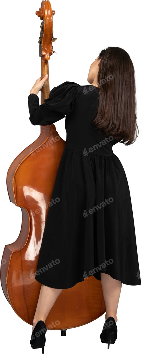 Preview: a woman in a black dress holding a violin