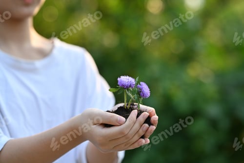 Preview: Little girl hands holding plant in hands against blurred green nature background.
