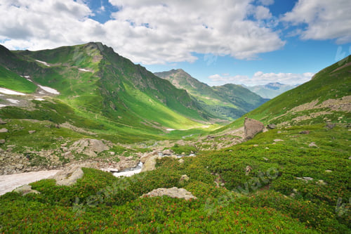 Preview: Green summer mountain valley at day