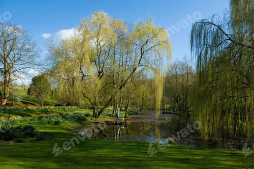 Preview: A woman and a dog standing on a jetty on a lake, with weeping willow trees behind.