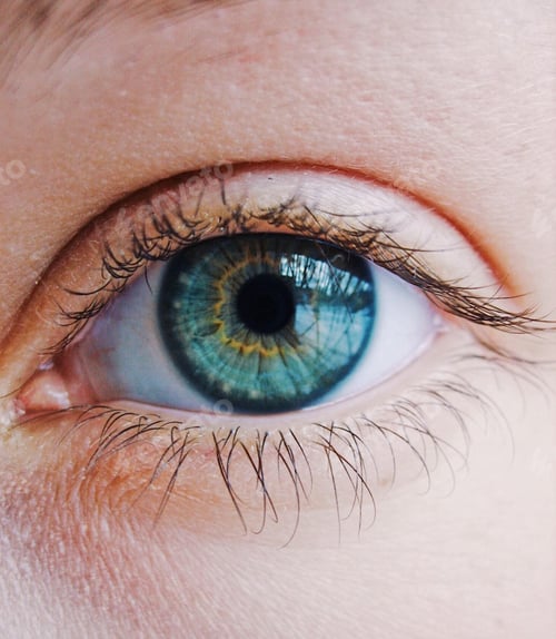 Preview: Close up of the human eye
