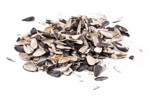 Preview: Bunch of sunflower seeds close up.