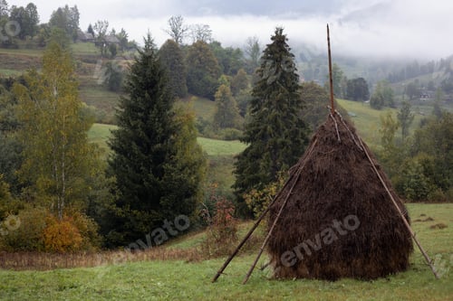 Preview: stacks with Carpathians hills at background