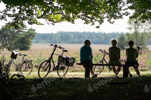 Preview: Unrecognizable people sitting on the bench enjoying the outdoors and picnic.