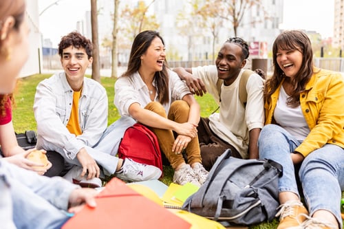 Preview: Young group of multiracial students sitting on the grass at university campus
