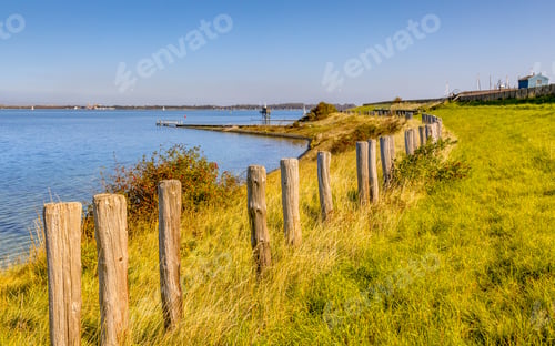Preview: Coastline of Grevelingen brackish inlet