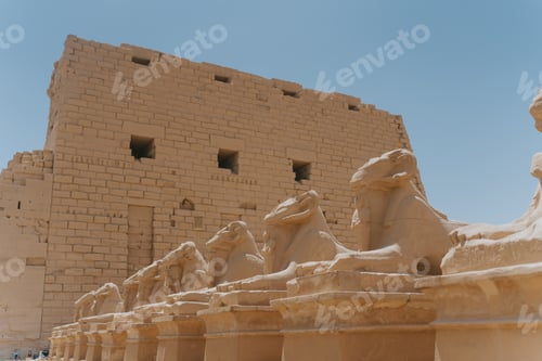Preview: Row of ram headed sphinxes guarding karnak temple in luxor, egypt