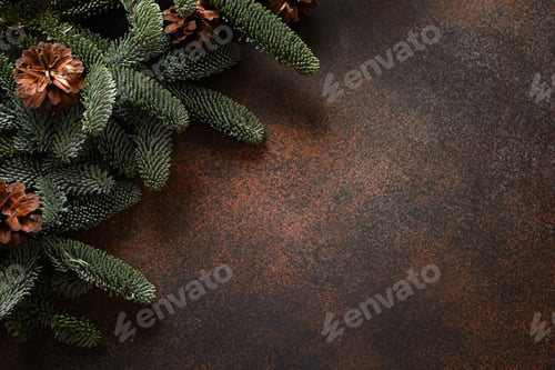 Preview: Christmas border with evergreen nobilis branches and cones.