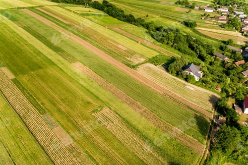 Preview: Aerial view of green agricultural fields in spring with fresh vegetation after seeding season on a