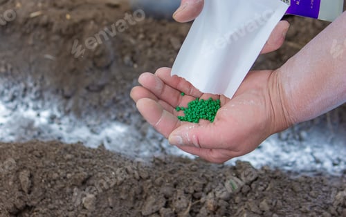 Preview: Young peasant woman planting seeds of carrots, radishes and beets in a warm black earth.