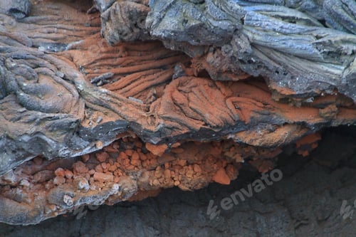 Preview: Closeup shot of a fresh lava field in Iceland with its small details