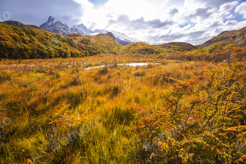 Preview: Autumn in Patagonia