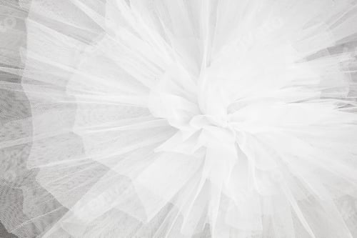 Preview: Closeup detail of the ballerina white tutu dress