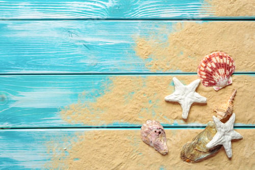 Preview: Summer time concept with sea shells