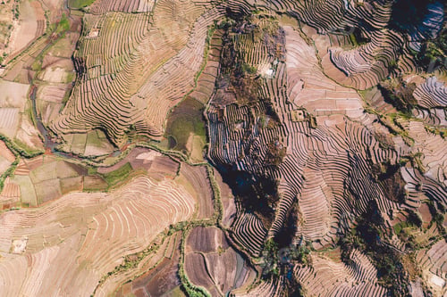 Vorschau: Madagascar