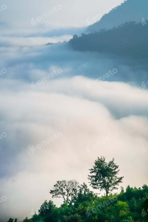 Preview: Ocean Of Mist