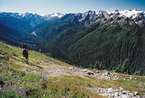 Preview: Backpacker on bailey traverse