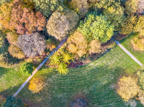 Preview: city park in october autumn colors