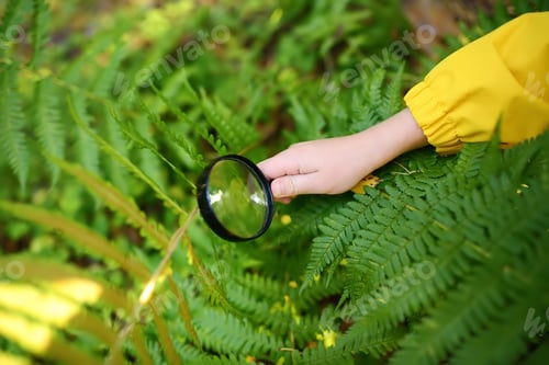 Preview: Child is exploring nature with magnifying glass.
