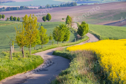 Preview: Gorgeous rural landscape with green sunny spring hills. South Moravia region, Czech Republic