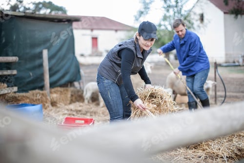 Preview: People working on a farm